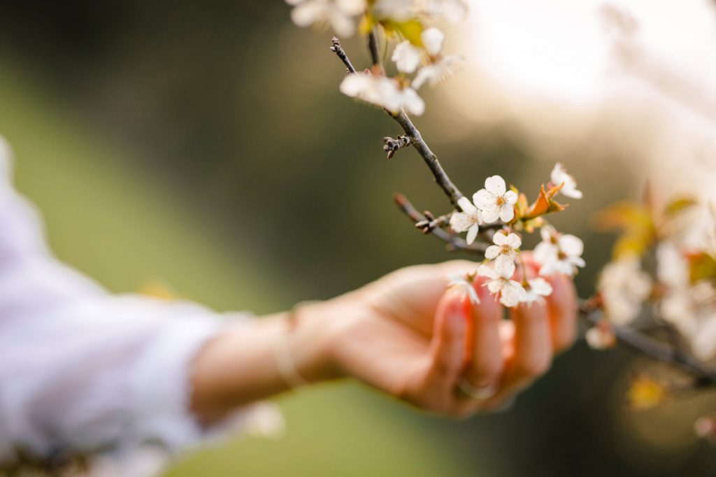 Frühlingsblumen Frauen Hand - keine Begegnung in unserem Leben ist umsonst